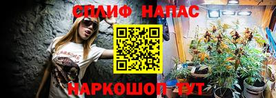 молекула духа Дмитров