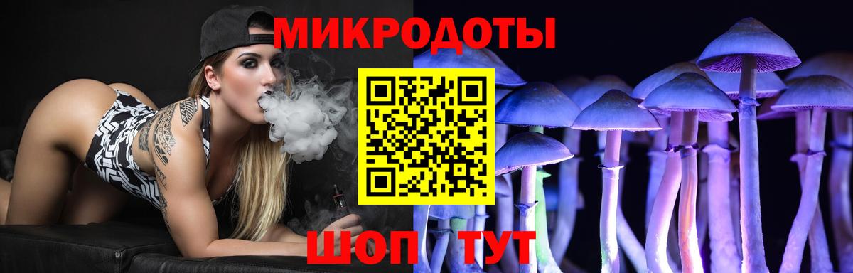 Протвино  Галлюциногенные грибы MAGIC MUSHROOMS  что такое   Вход с VPN 